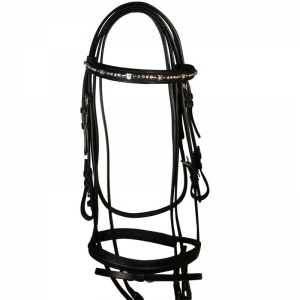 Bridle