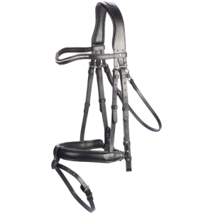 Bridle