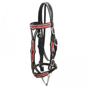 Spanish Bridle