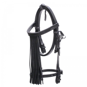 Spanish Bridle