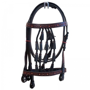 Spanish Bridle